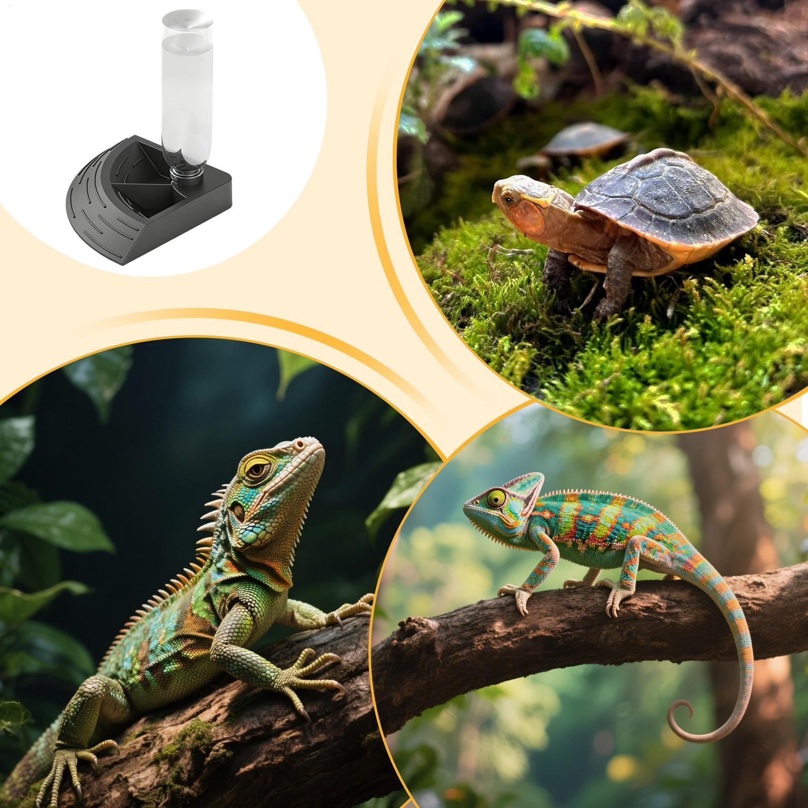 Water Dish Reptile - Reptiel Waterdispenser 2-in-1 Dubbelcompartiment Voerbak Baardslang