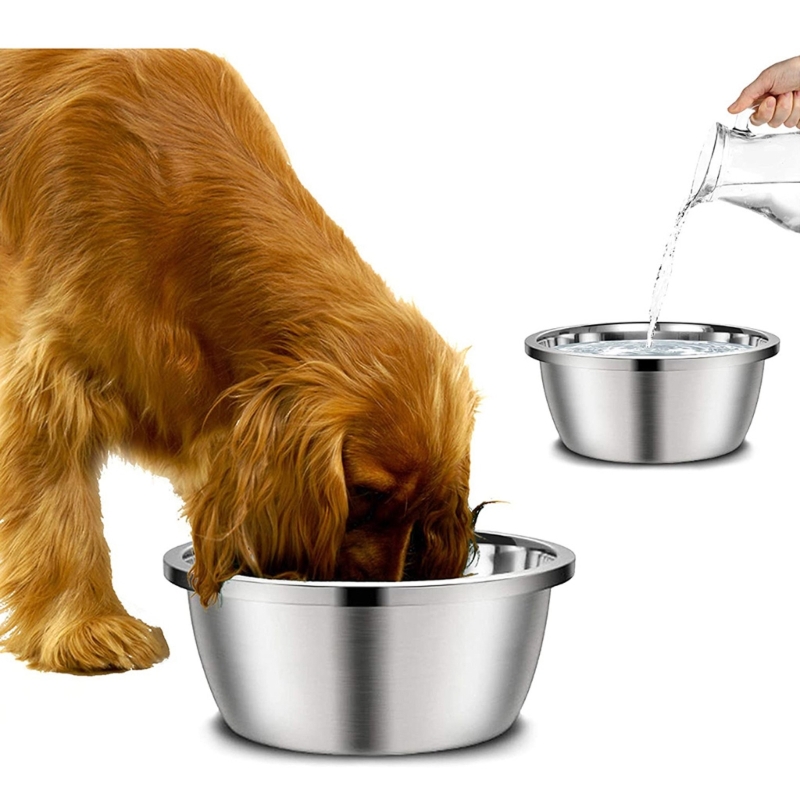 Royal Canin Food Medium - Rvs Hond Feeders 20 Cm 24