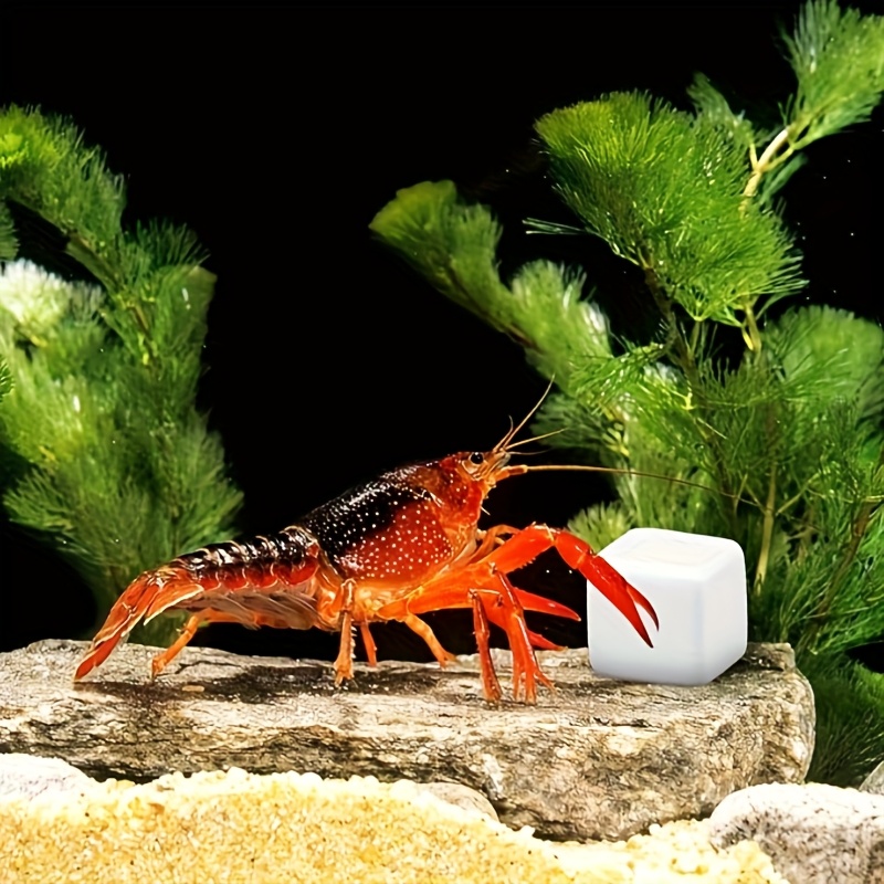 Calcium Powder Reptile - 6 Stuks Aquarium Calcium Blok Mineralen
