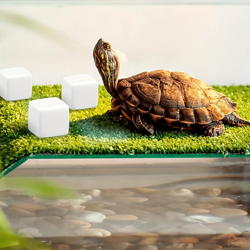 6 Stuks Voor Reptiel Slijpen S - Calcium Powder Reptile recensie en prijs