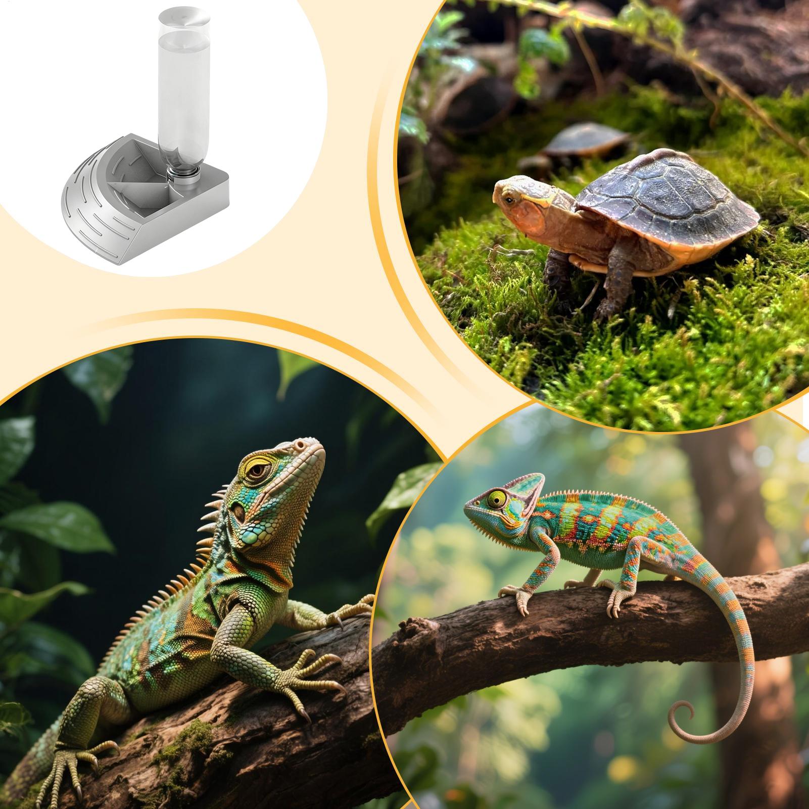 Reptiel Waterdispenser 2-in-1  - Water Dish Reptile recensie en prijs