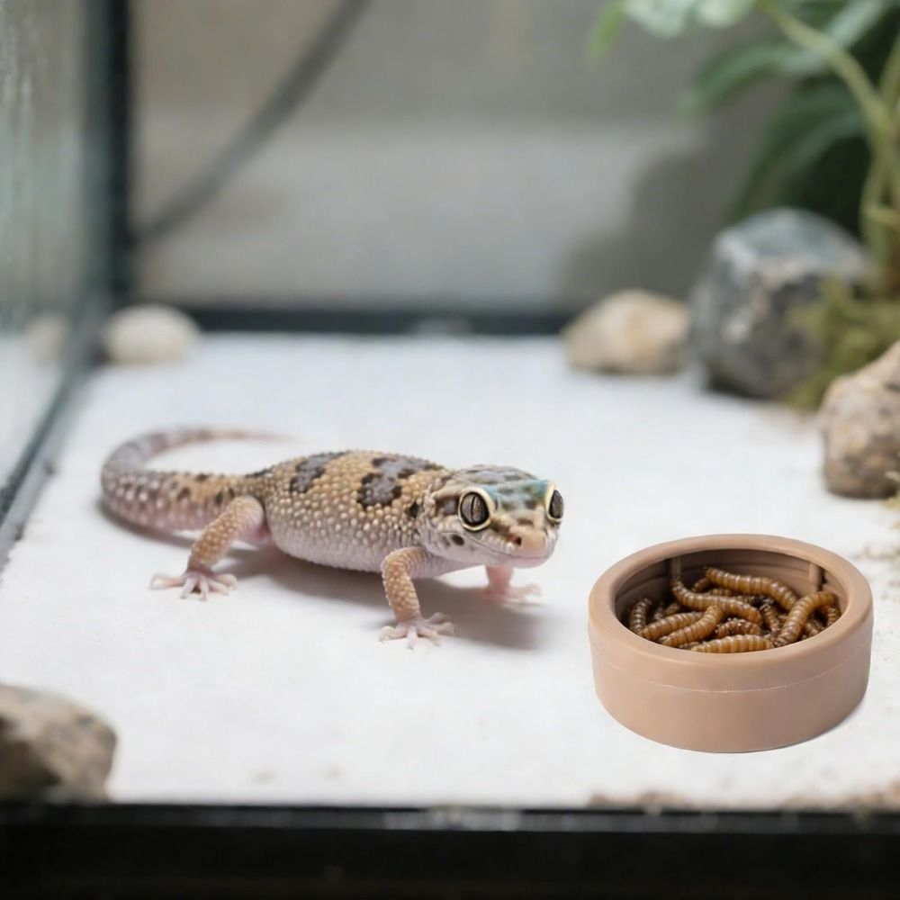 Draagbare ontsnappingsveilige  - Water Dish Reptile recensie en prijs