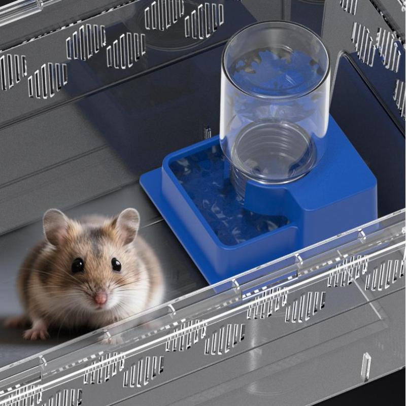(BF06) Reptiel Waterfles Autom - Water Dish Reptile recensie en prijs