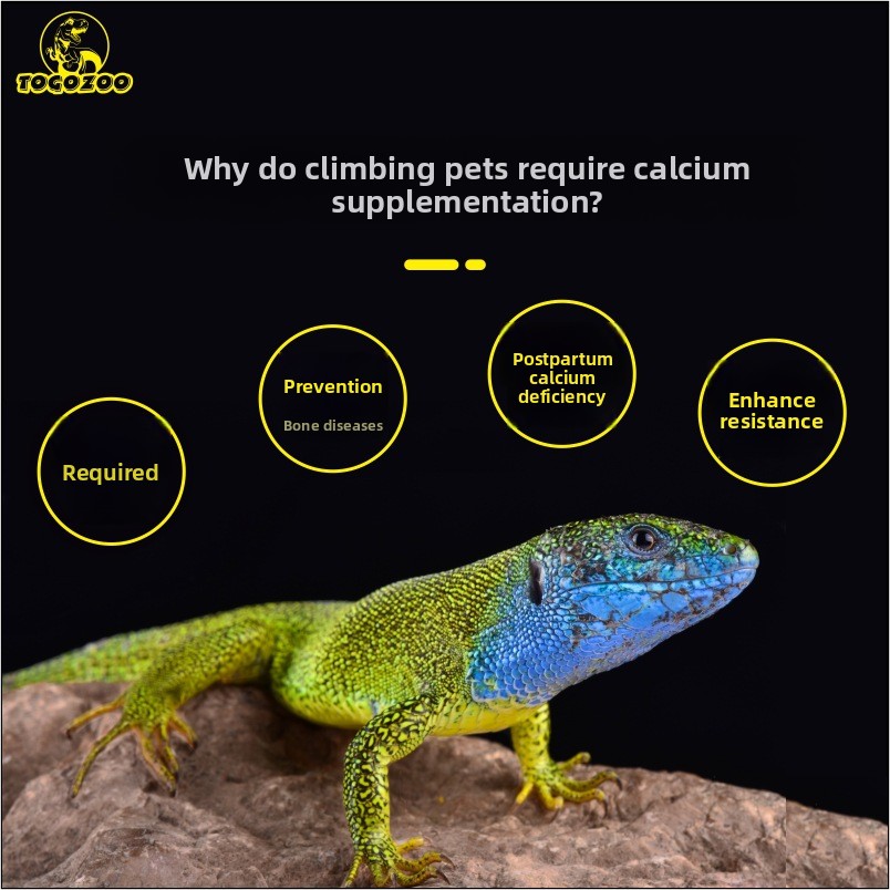 TOGOZOO WILDCAL Reptiel Calciu - Calcium Powder Reptile recensie en prijs
