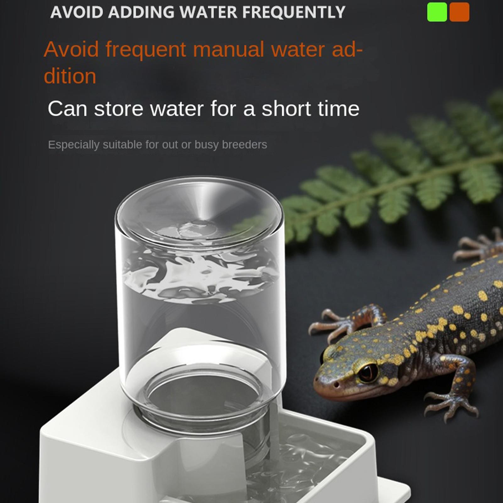 Baardagaam Waterfontein Automa - Water Dish Reptile recensie en prijs