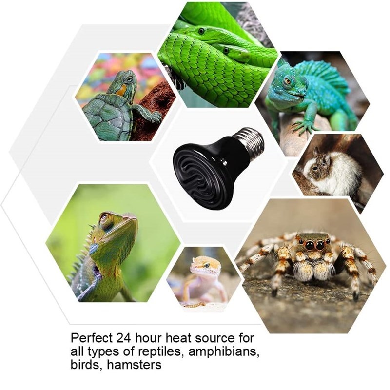 Reptiel Verwarming Lamp voor S - Ceramic Heat Emitter recensie en prijs