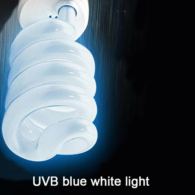 E27 13W/26W Reptiel Uvb Lamp C - Calcium Powder Reptile recensie en prijs