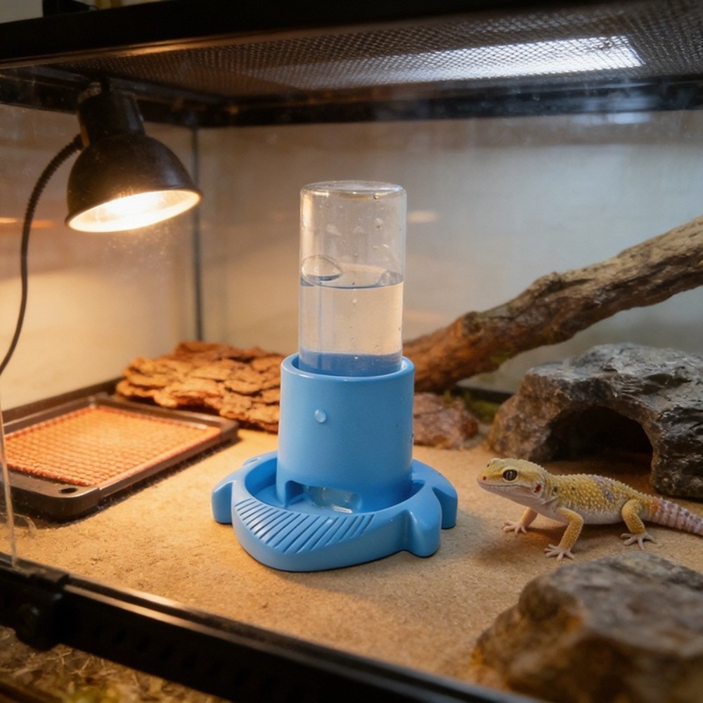 Plastic Reptielen Waterbak Ant - Water Dish Reptile recensie en prijs