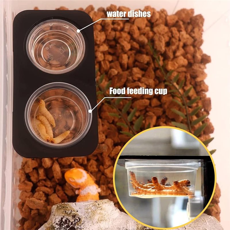Voer- en waterbakjes voor gekk - Water Dish Reptile recensie en prijs