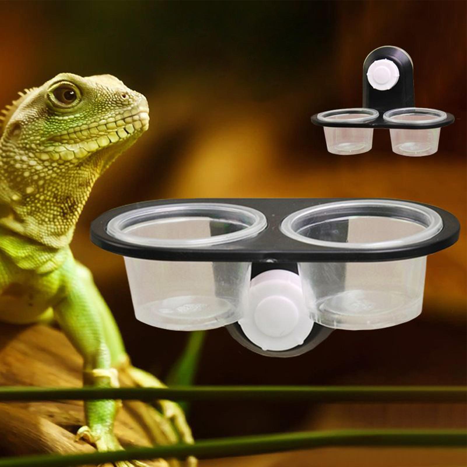 Gecko Voedselbak Waterbak voor - Water Dish Reptile recensie en prijs