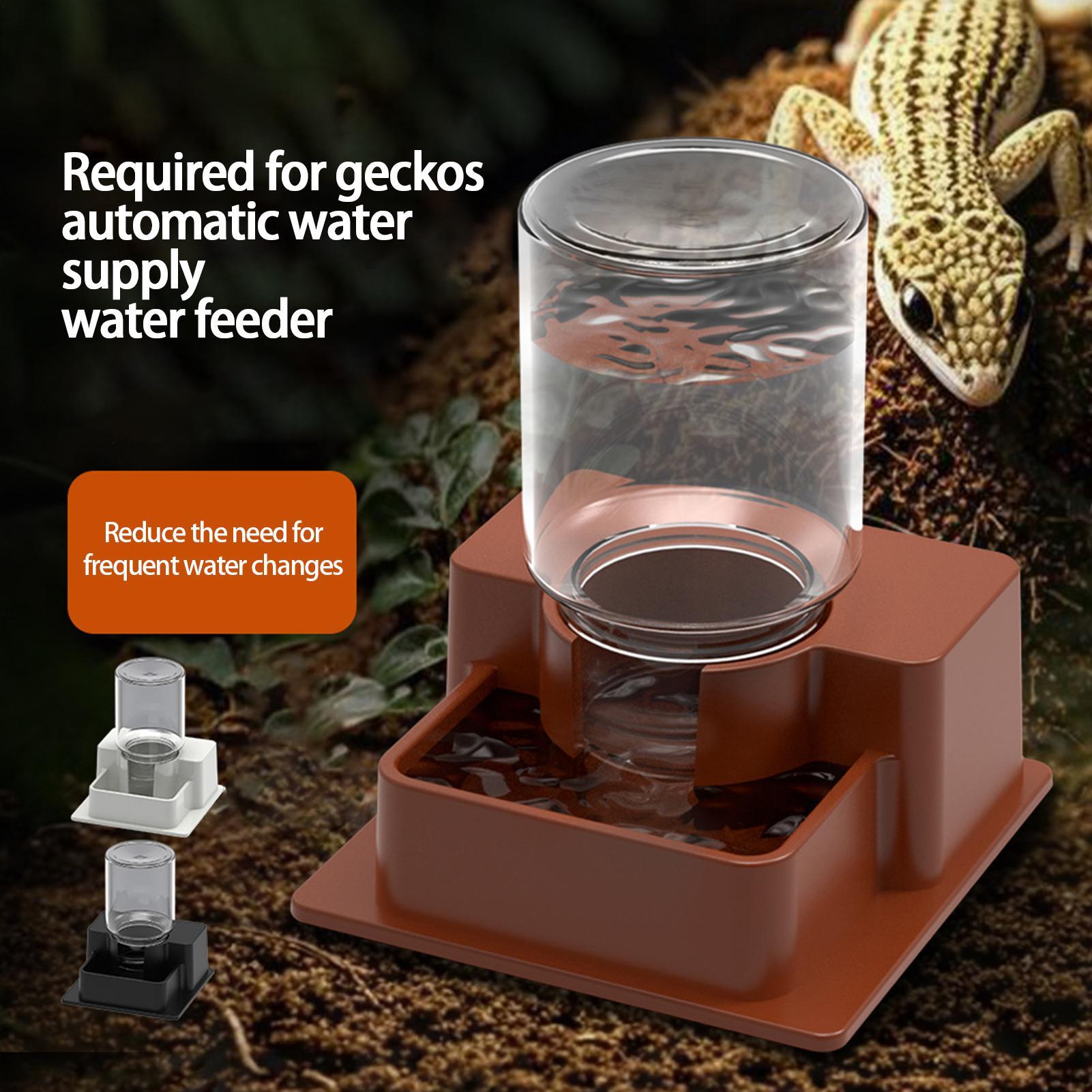 1 Pc Automatische Reptiel Feed - Water Dish Reptile recensie en prijs