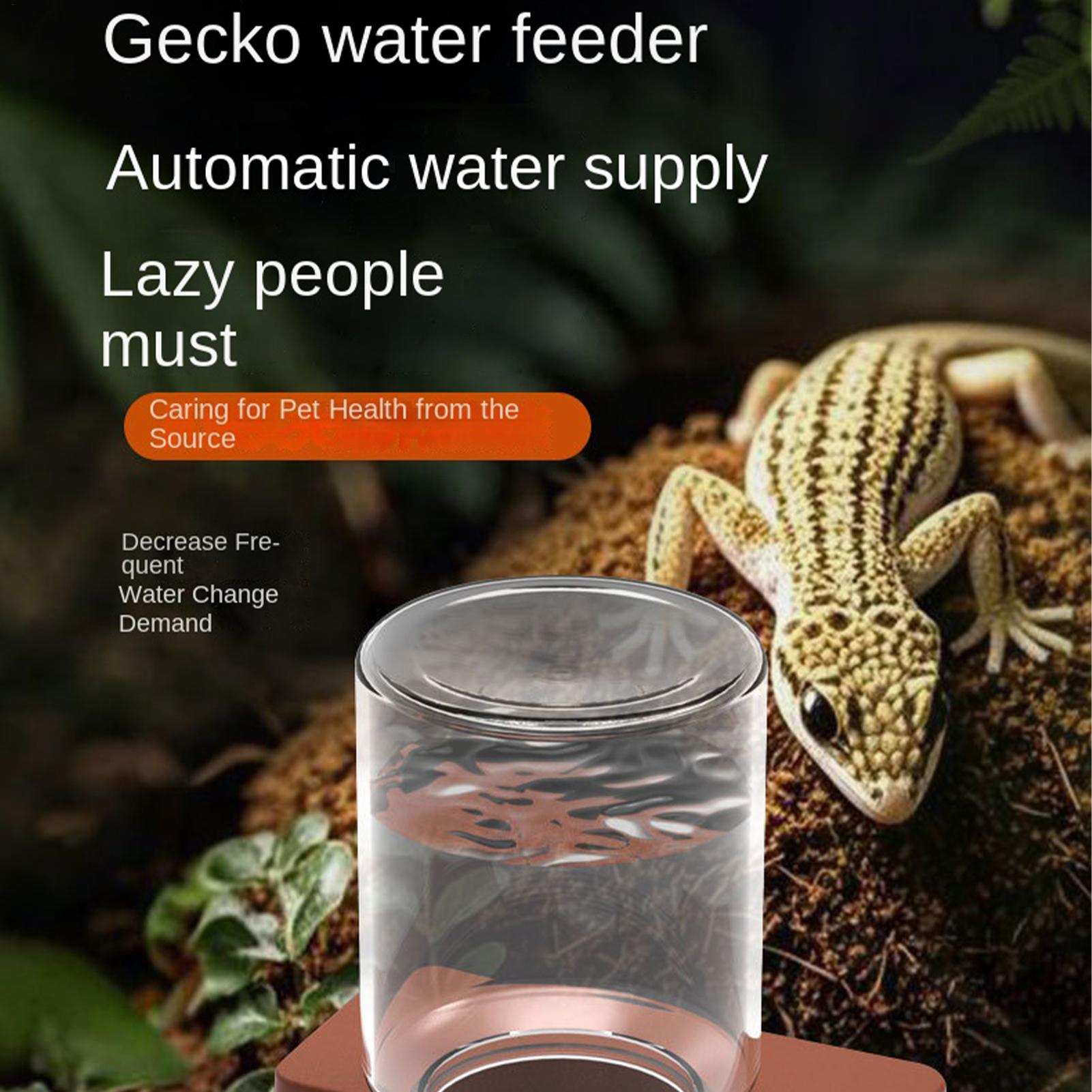 1 Pc Automatische Reptiel Feed - Water Dish Reptile recensie en prijs